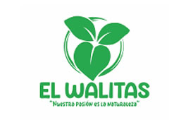 Cliente 15