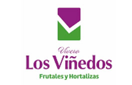 Cliente 17