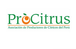 Cliente 27