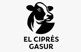 Cliente 46